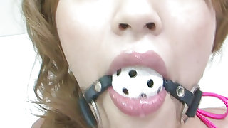 Foxy  Yuu Mahiru with gag in her mouth is having anal sex